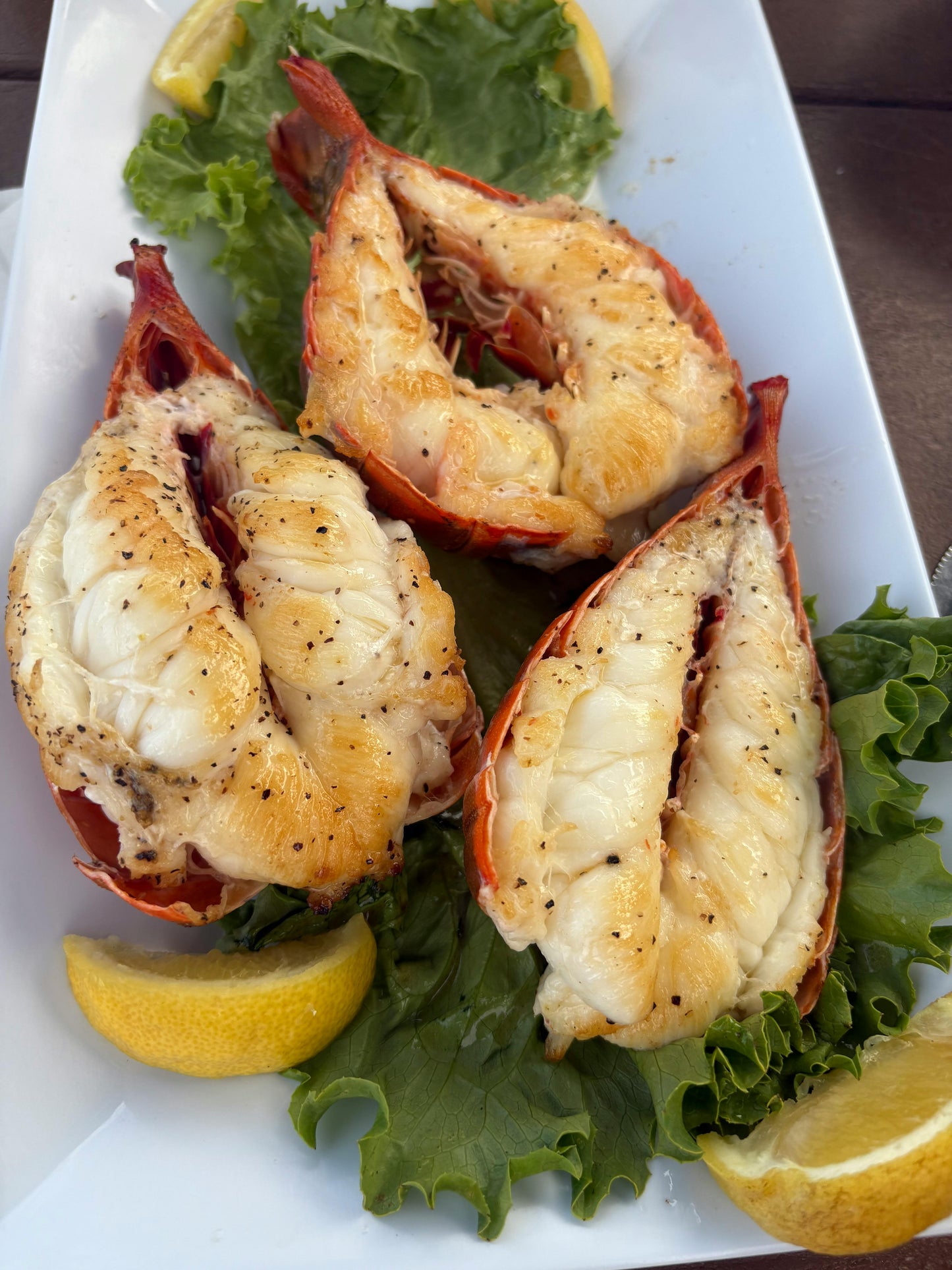 Wild Caught Maine Lobster Tails | 5-6oz | 10 lb Pack