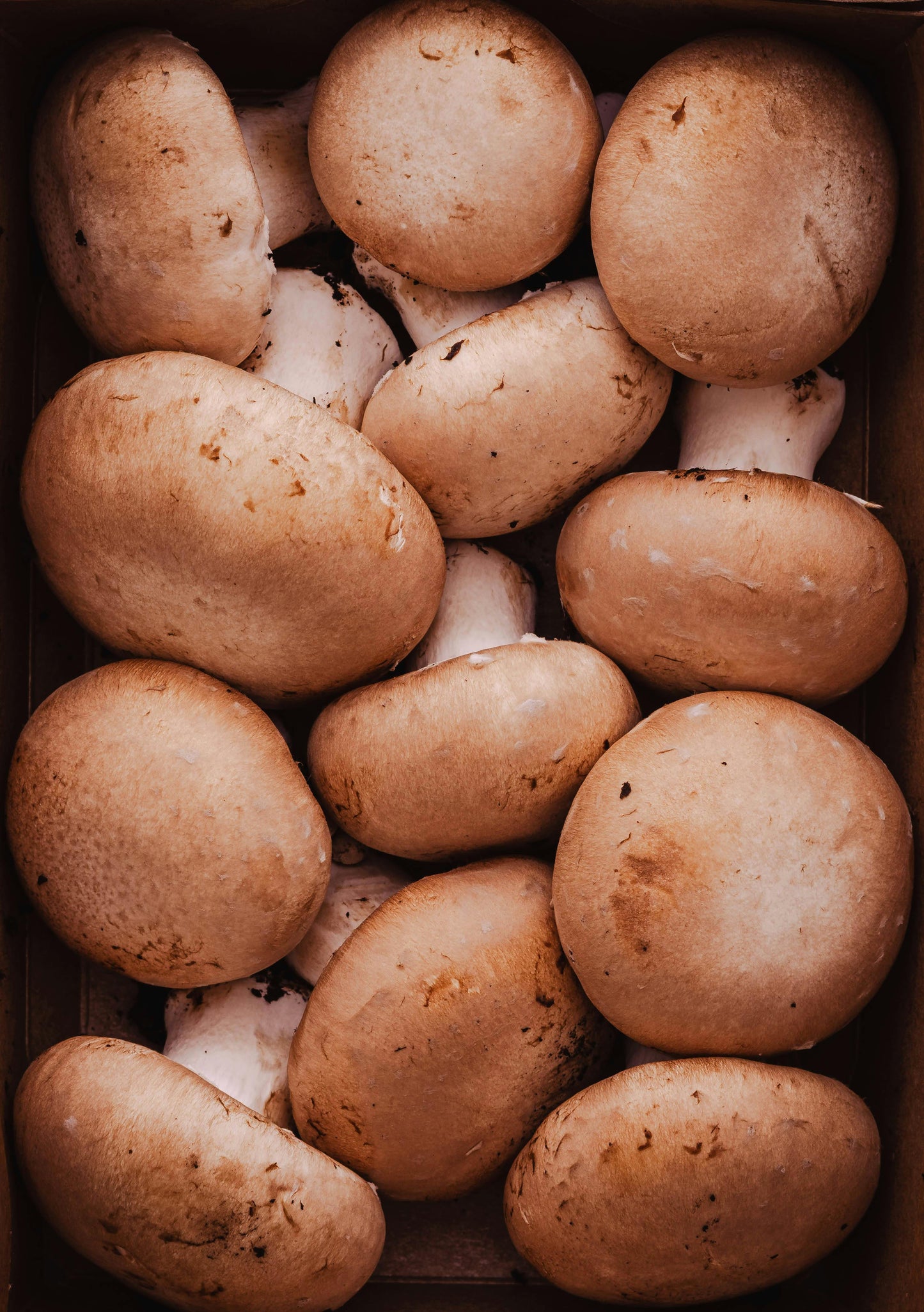 Battered Whole Mushrooms | 6 x 2 lb Bags | 12 lbs